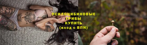 гашик Абаза