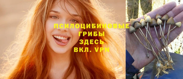 ешки Абинск