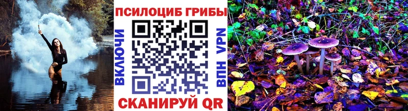 Псилоцибиновые грибы мухоморы  KRAKEN как войти  Терек 